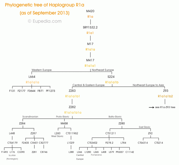 skrbh-krc3b3tka-historia-rodu-genetycznego-r1atab-1-filogenetyczne-drzewo-haplogrupy-r1a